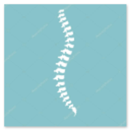Logo einer Orthopädiepraxis (Beispiel)