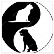 Logo einer Hausarztpraxis (Beispiel)